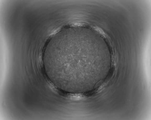X0000085760377200703161124