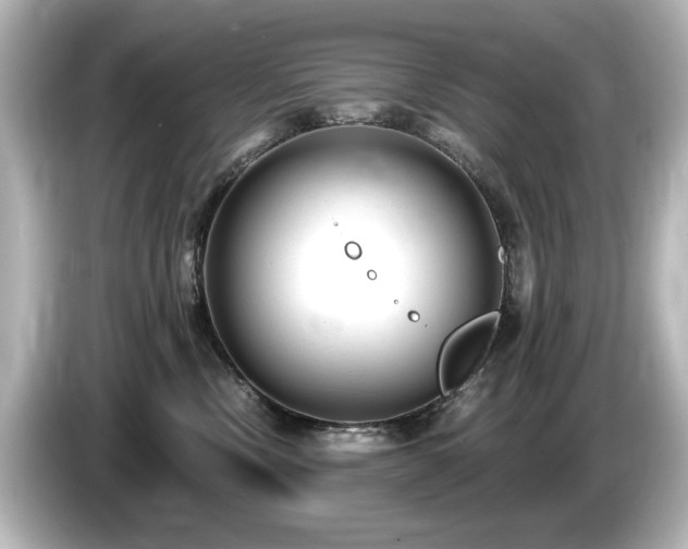 X0000085760378200703161124