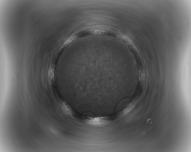 X0000085760382200703161124