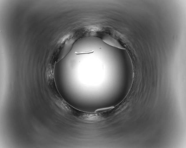 X0000085760384200703161124