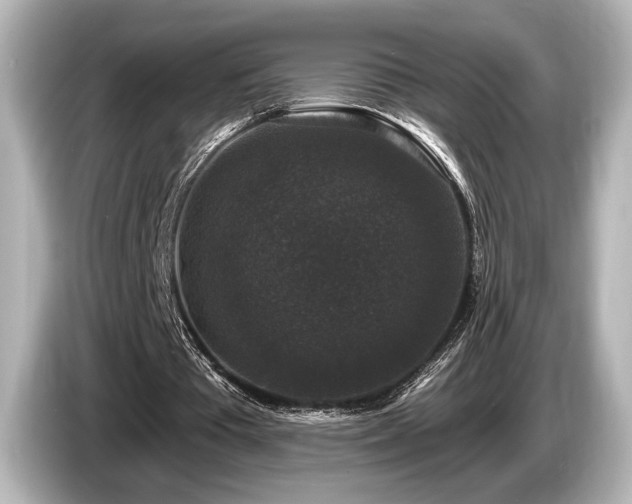 X0000085760385200703161123