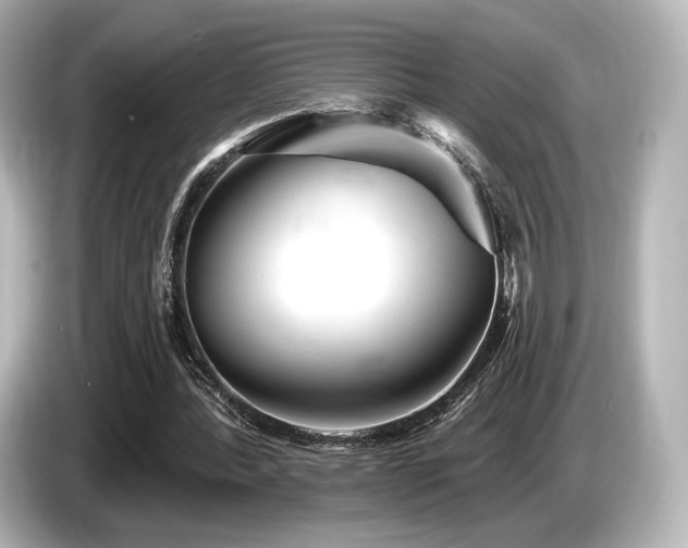 X0000085760388200703161123
