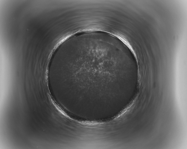 X0000085760389200703161123