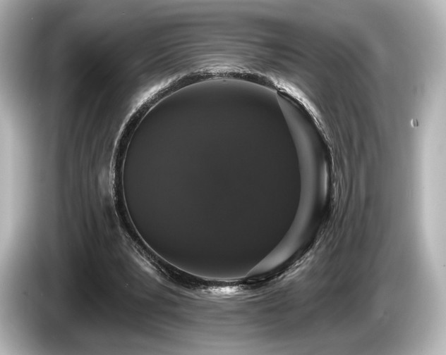X0000085760391200703161123
