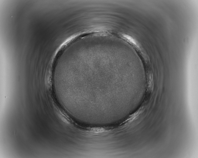 X0000085760392200703161123