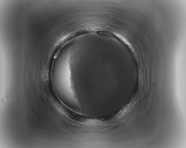 X0000085760399200703161123