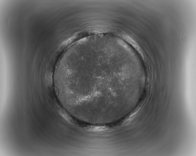 X0000085760401200703161123