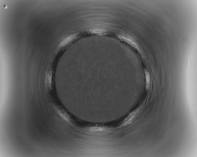 X0000085760404200703161123