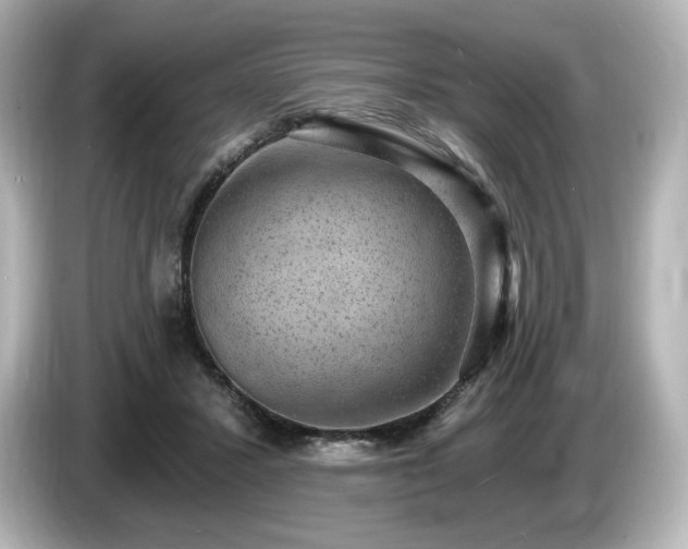 X0000085760407200703161123