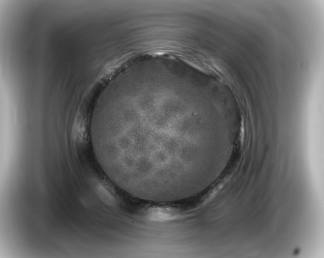 X0000085760408200703161123