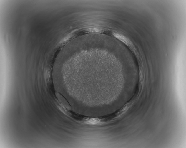 X0000085760409200703161123