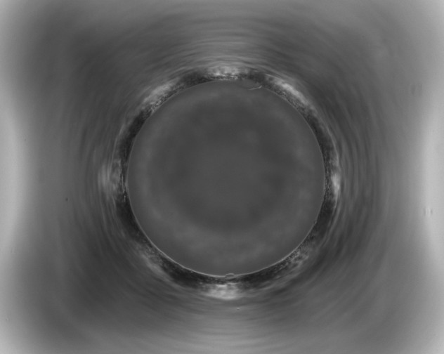 X0000085760411200703161123