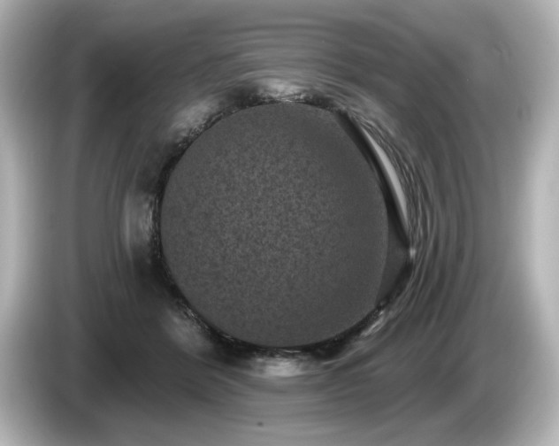 X0000085760412200703161123