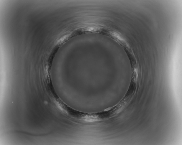 X0000085760415200703161122