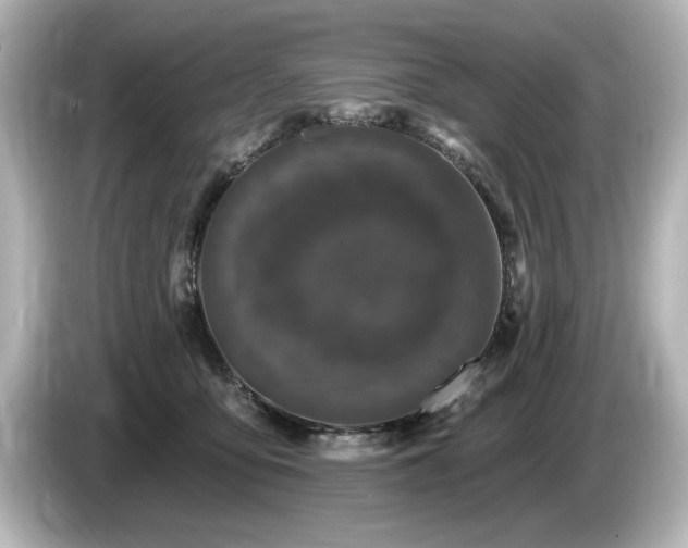 X0000085760419200703161122
