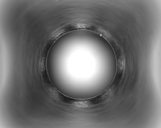 X0000085760422200703161122