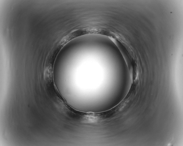 X0000085760425200703161122