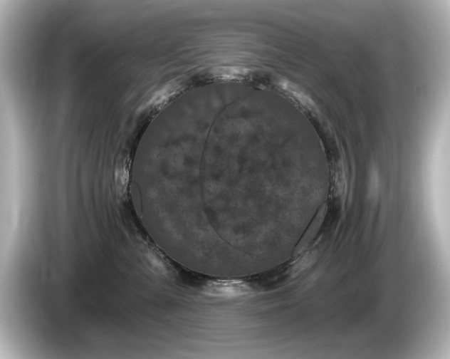 X0000085760427200703161122