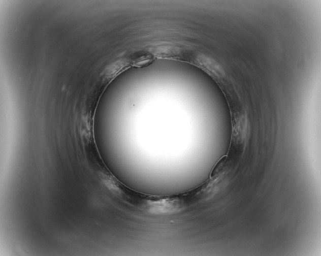 X0000085760430200703161122