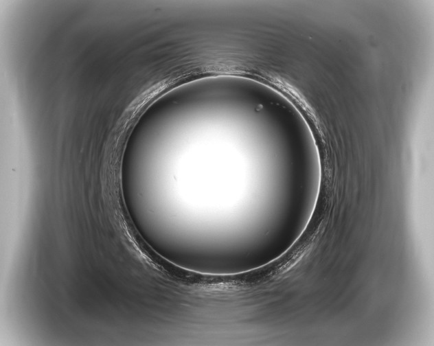 X0000085760433200703161121