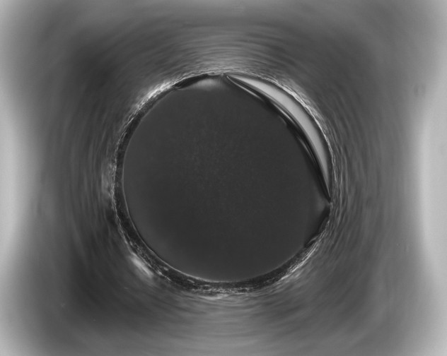 X0000085760434200703161121