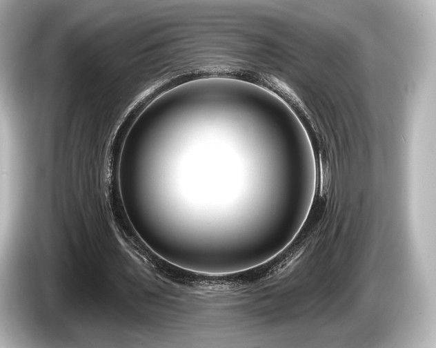 X0000085760435200703161121