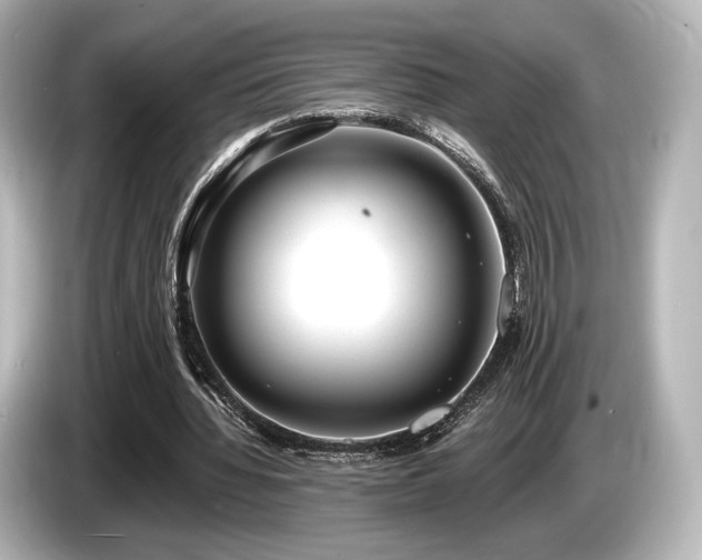 X0000085760436200703161121