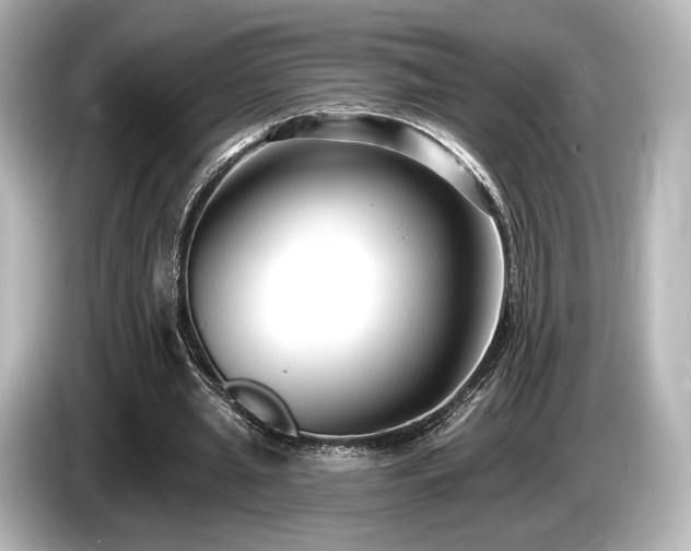 X0000085760437200703161121