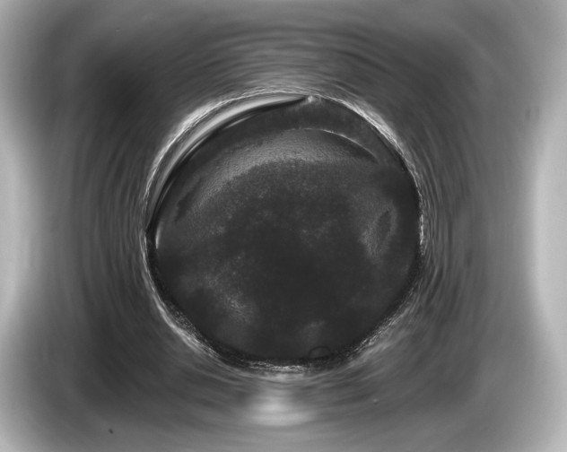 X0000085760438200703161121
