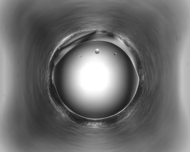 X0000085760440200703161121