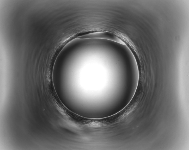 X0000085760441200703161121