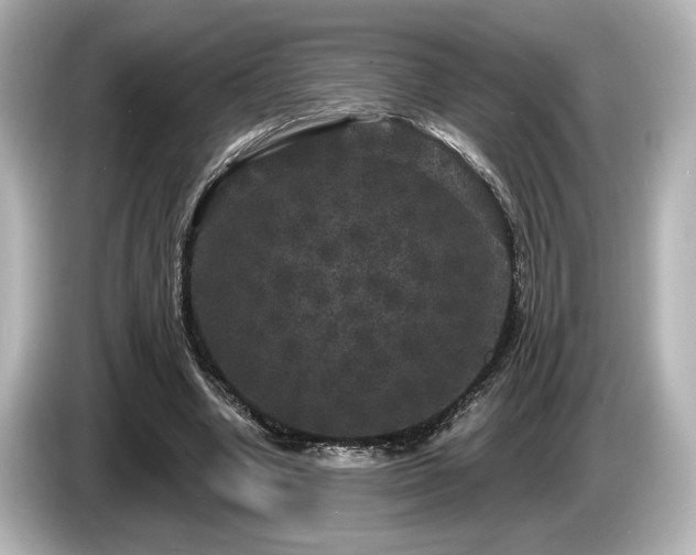 X0000085760442200703161122