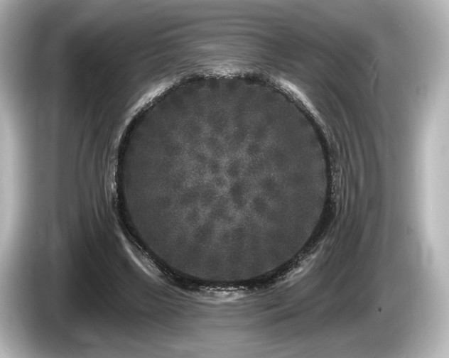 X0000085760443200703161122