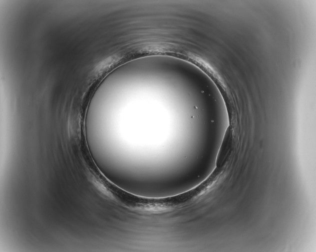 X0000085760445200703161122