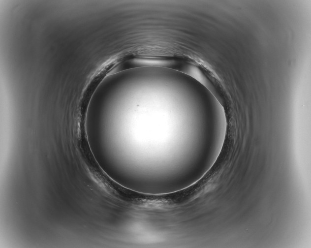 X0000085760446200703161122