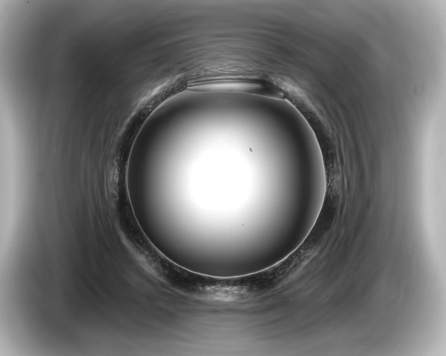 X0000085760448200703161122