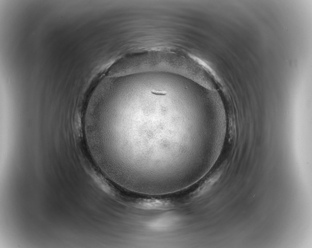 X0000085760453200703161122