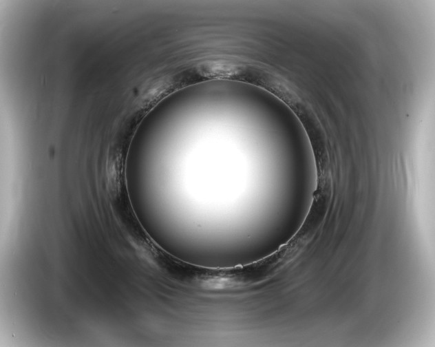 X0000085760460200703161122