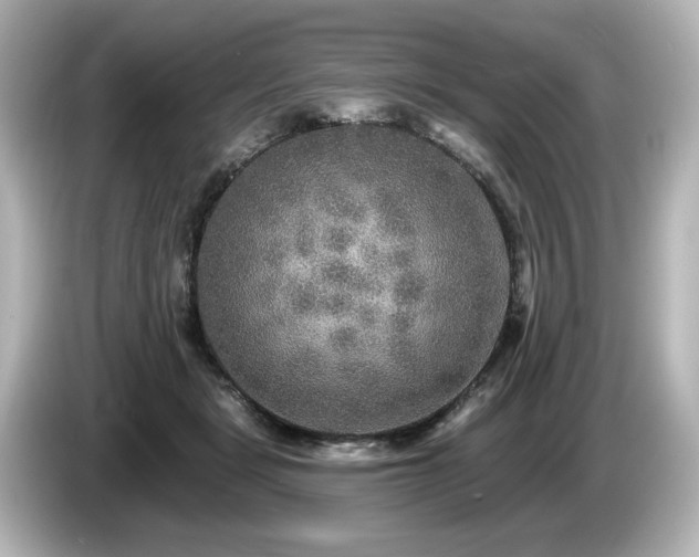 X0000085760461200703161122