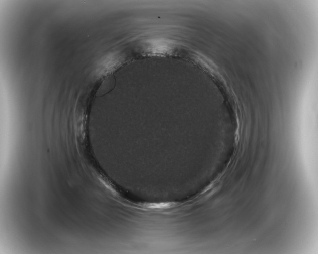 X0000085760462200703161122
