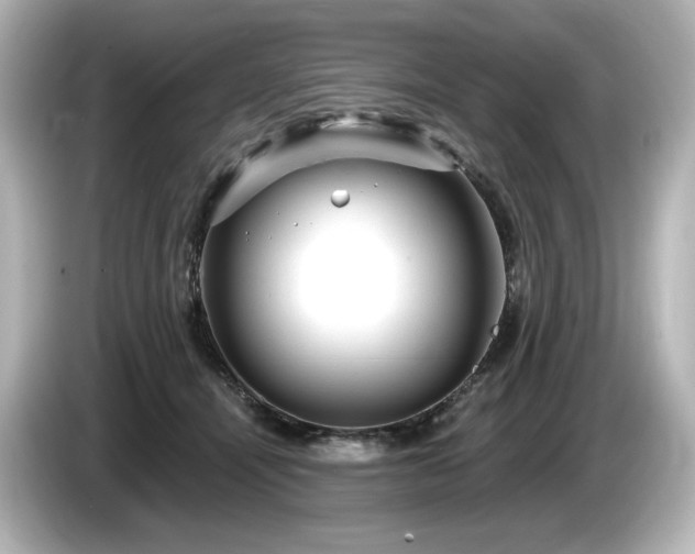 X0000085760464200703161122