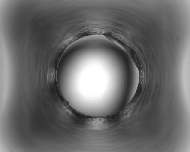 X0000085760474200703161122