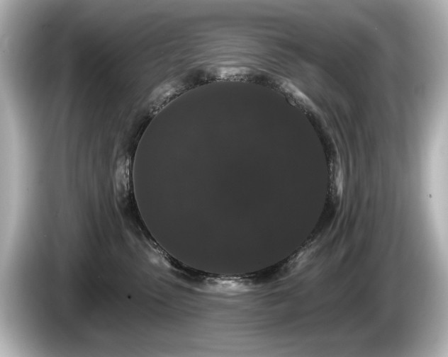 X0000085760475200703161122
