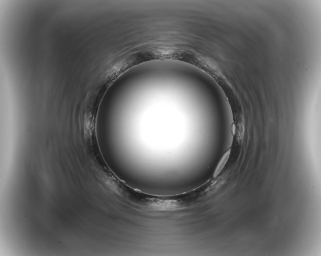 X0000085760476200703161122