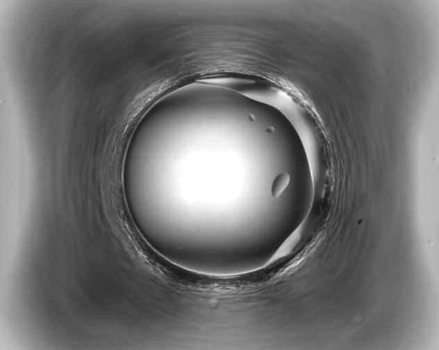 X0000085760481200703161121