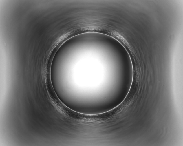 X0000085760482200703161121