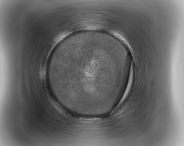 X0000085760483200703161121