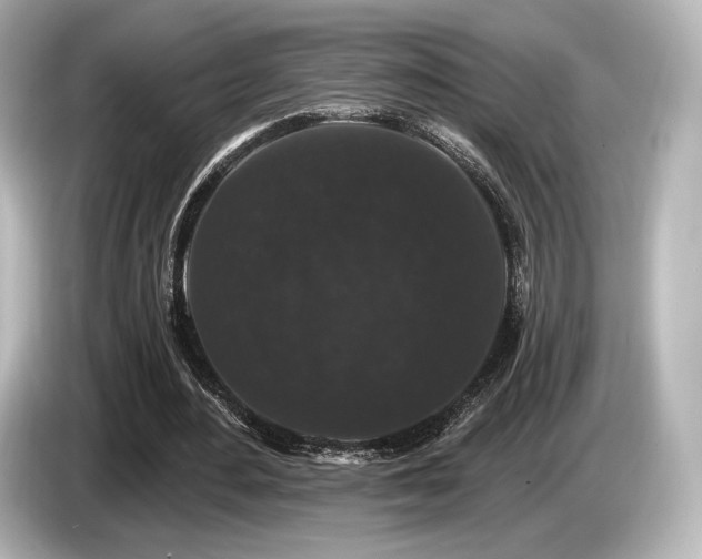 X0000085760484200703161121