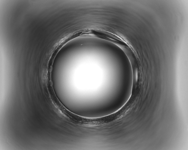 X0000085760485200703161121