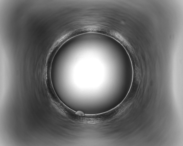 X0000085760486200703161121